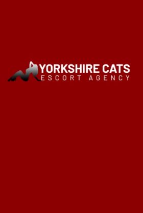 Yorkshire Cats